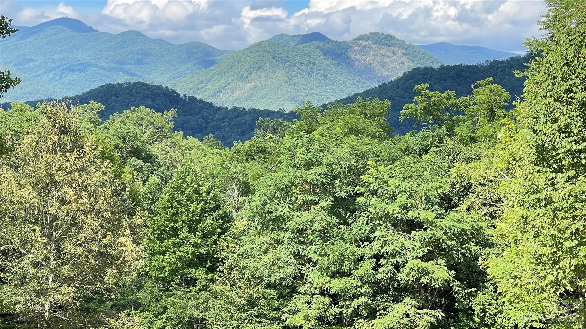 Tbd Moody Bridge Road, Unit 2 & 3 Cullowhee, NC 28723 - Photo 9 of 10 a view of a yard in a yard