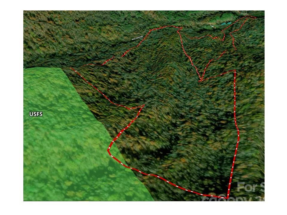 Tbd Moody Bridge Road, Unit 2 & 3 Cullowhee, NC 28723 - Photo 10 of 10 a view of a garden