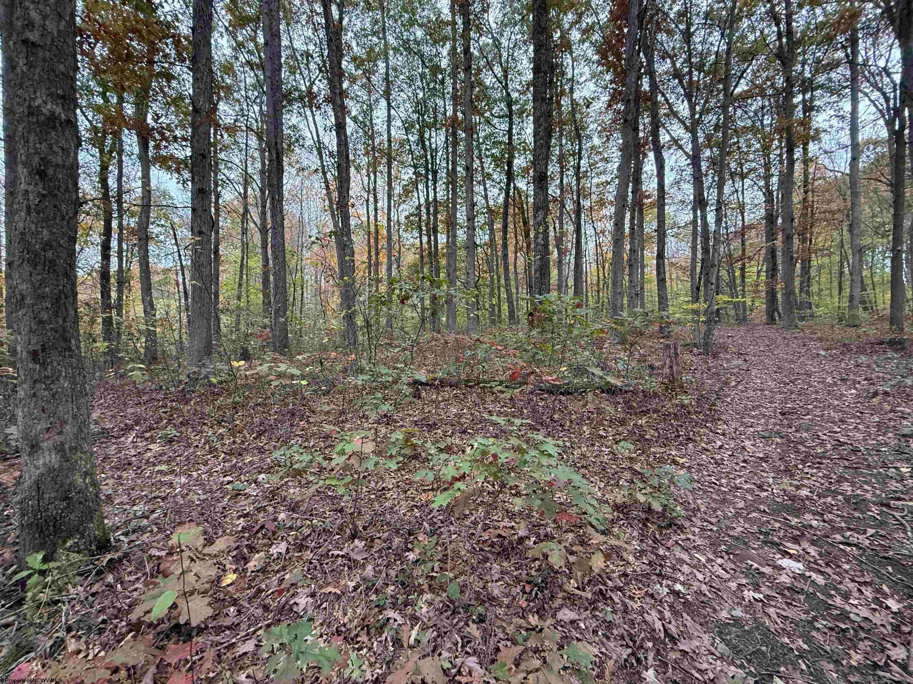 0 Riggins Kingwood, WV 26537 - Photo 32 of 40 Gallery Image 32