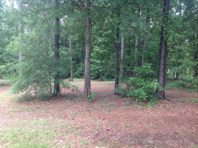 2055 Montpelier Road Forsyth, GA 31029 - Photo 25 of 29 Additional Photo