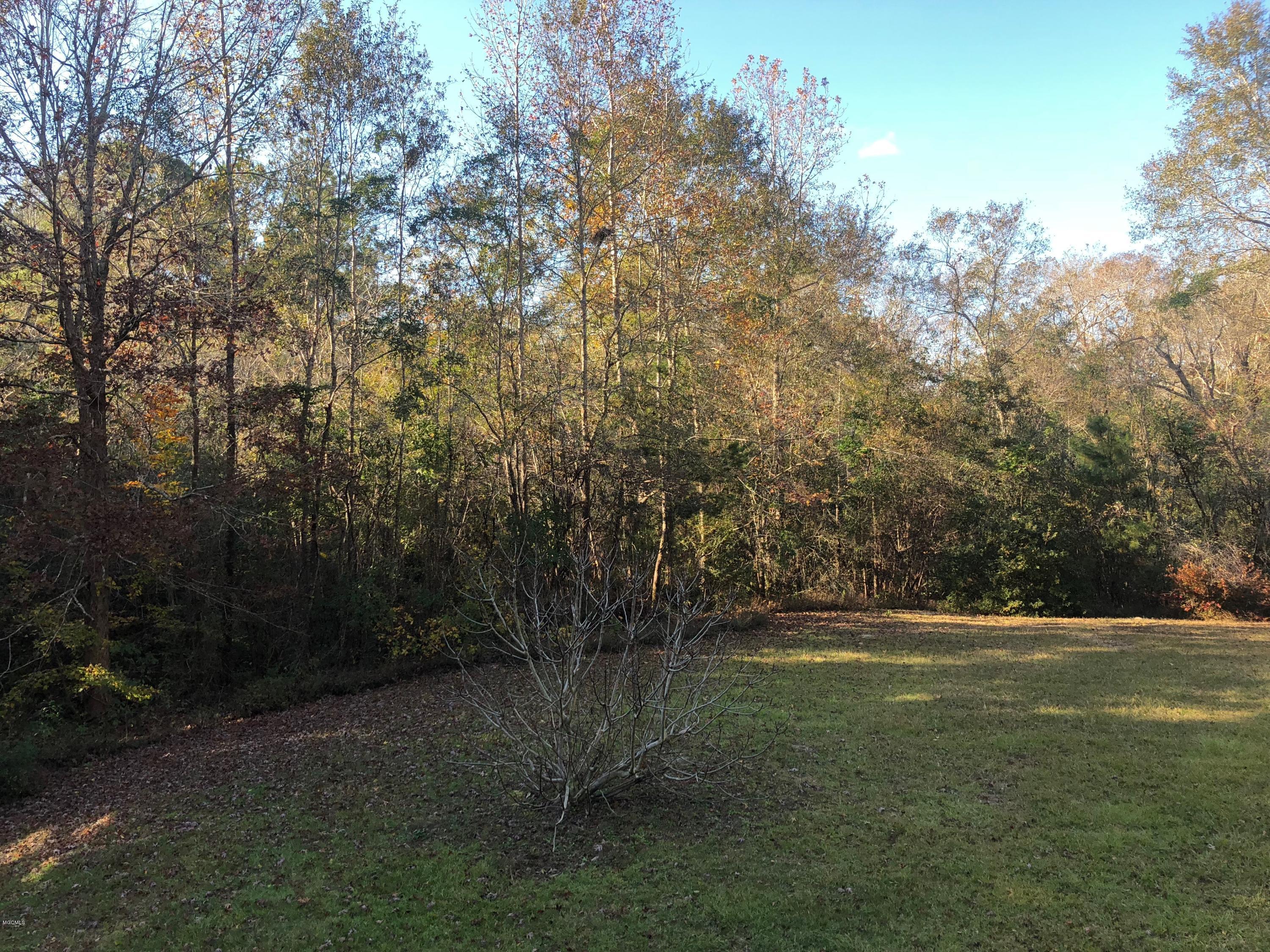 18012 Bert Dedeaux Road Saucier, MS 39574 - Photo 21 of 23 19