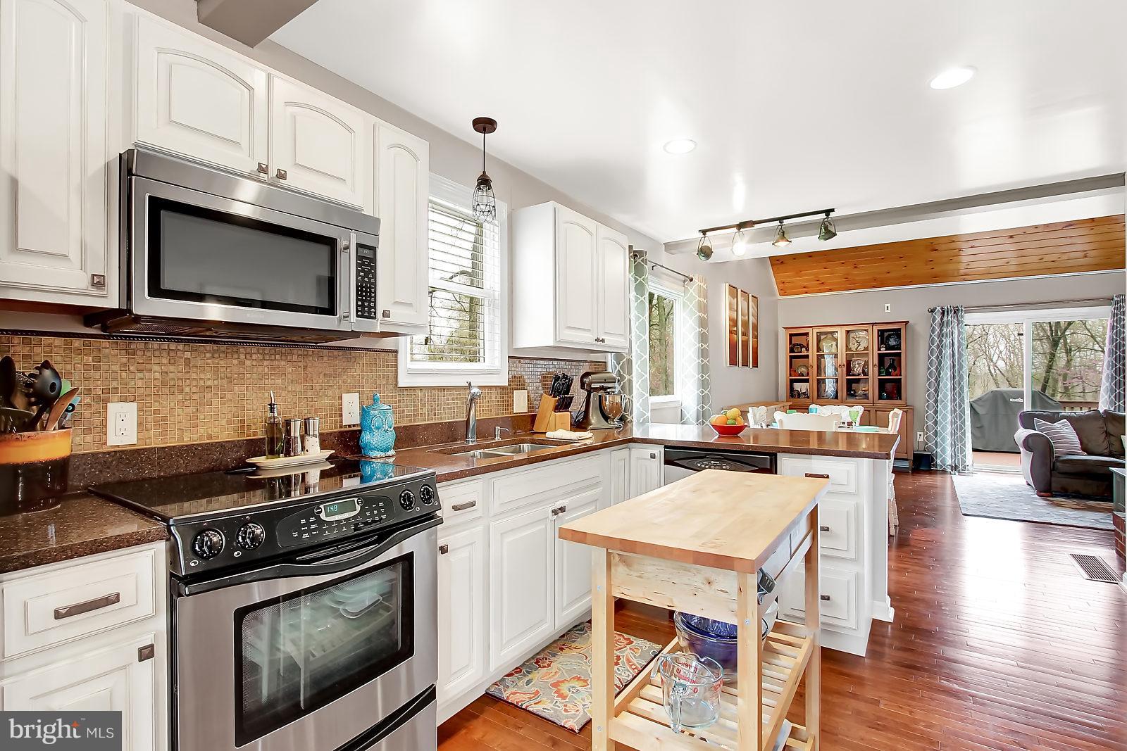 4 Illini Way Rising Sun, MD 21911 - Photo 7 of 27 Kitchen