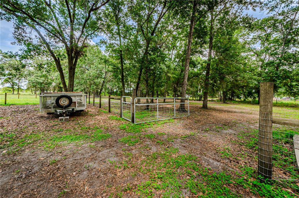 11118 Brahman Road Lithia, FL 33547 - Photo 56 of 60 Gallery Image 56