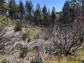 7097 High Valley Road Clearlake Oaks, CA 95423 - Photo 4 of 4 a view of a forest with trees in the background