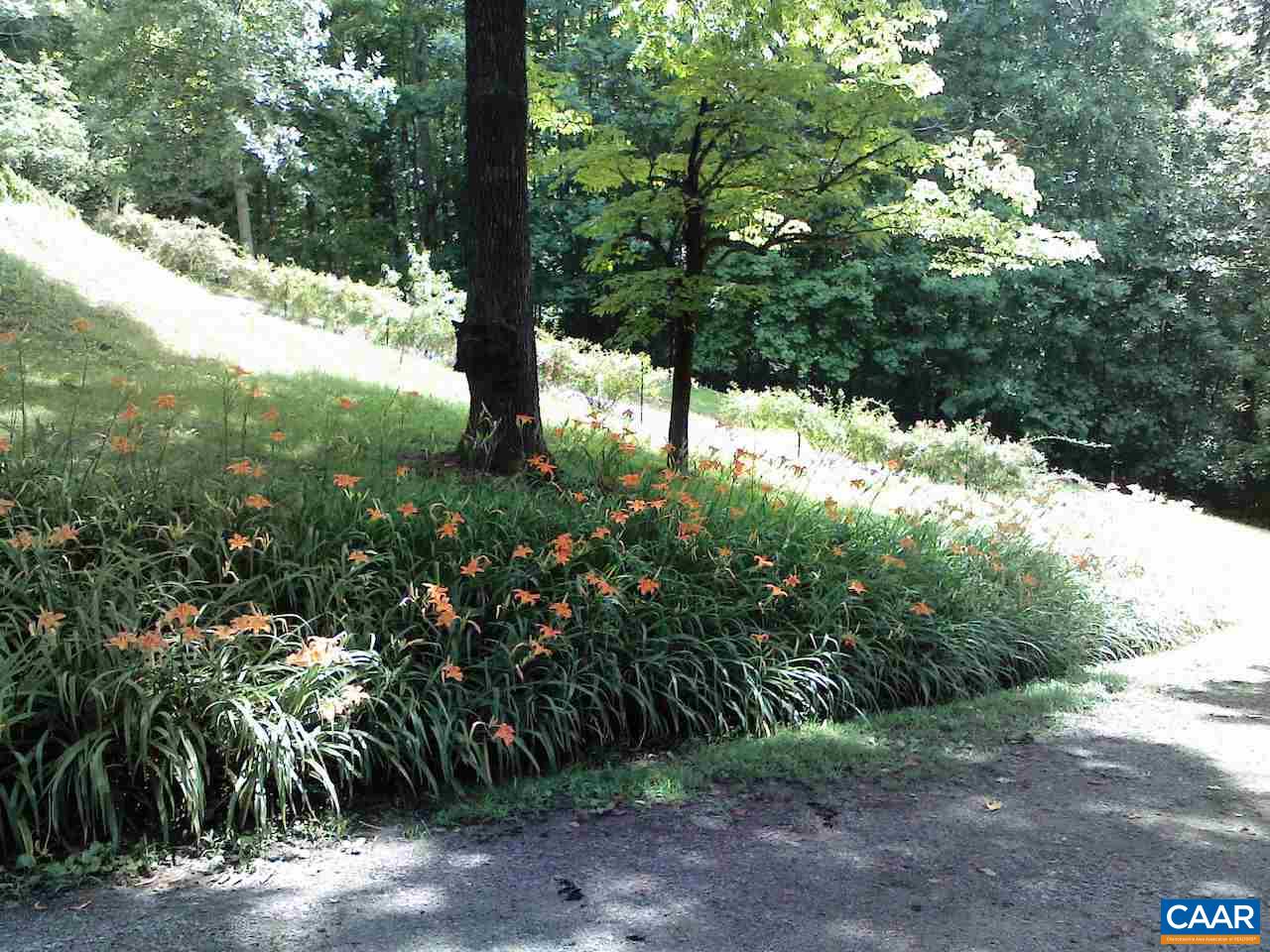 1987 Arrowhead Valley Road Charlottesville, VA 22903 - Photo 18 of 23 a view of a yard with plants and trees