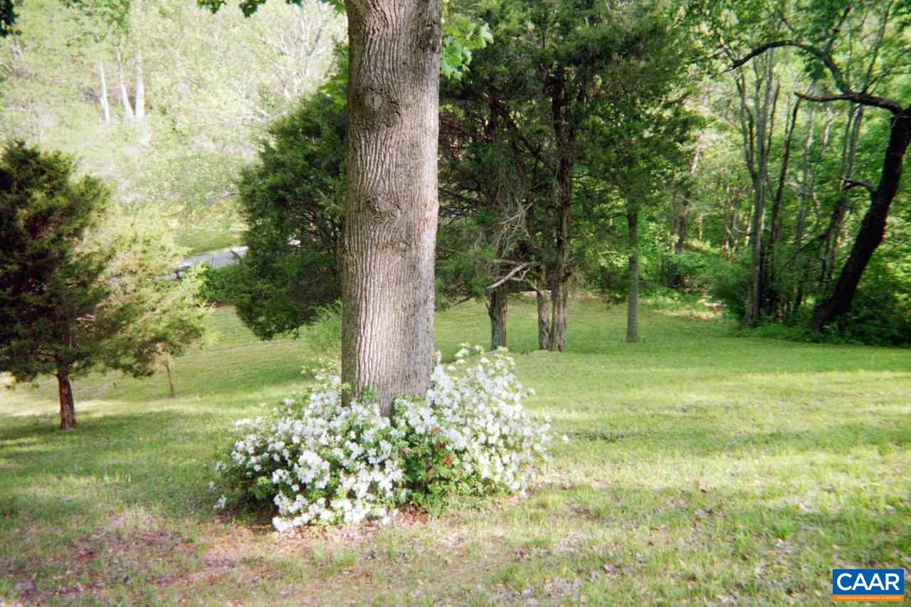 1987 Arrowhead Valley Road Charlottesville, VA 22903 - Photo 20 of 23 a view of a garden with a tree