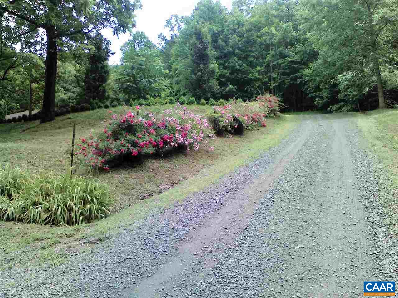 1987 Arrowhead Valley Road Charlottesville, VA 22903 - Photo 22 of 23 a garden covered with trees