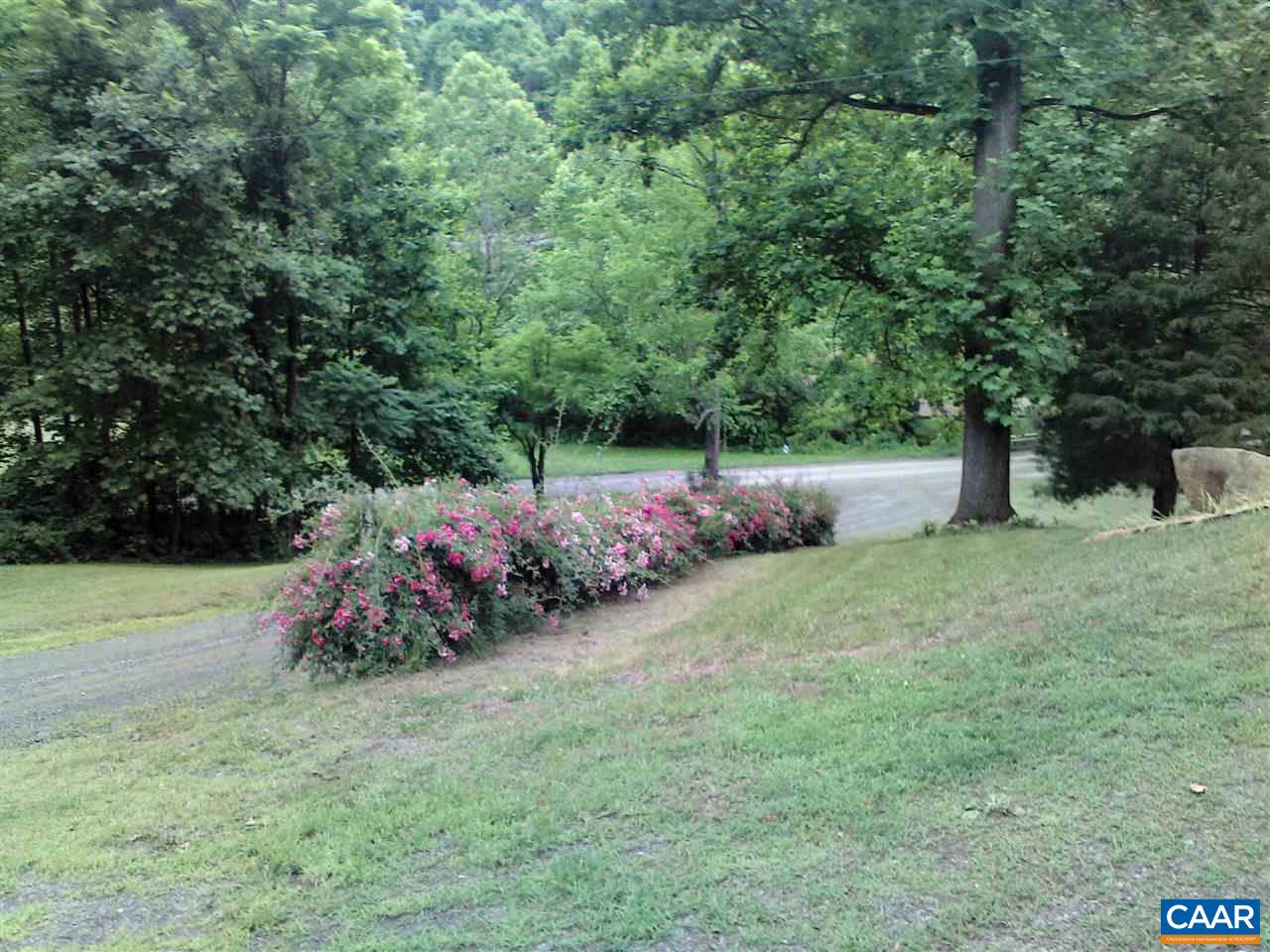 1987 Arrowhead Valley Road Charlottesville, VA 22903 - Photo 3 of 23 a view of a backyard