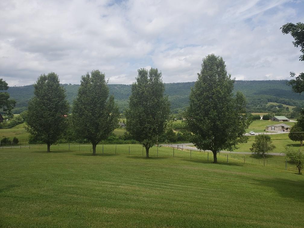940 Herman Smith Road Pikeville, TN 37367 - Photo 12 of 41 20200608_111146_resized