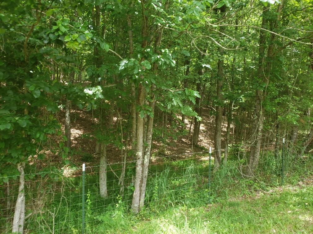 940 Herman Smith Road Pikeville, TN 37367 - Photo 19 of 41 20200608_123357_resized