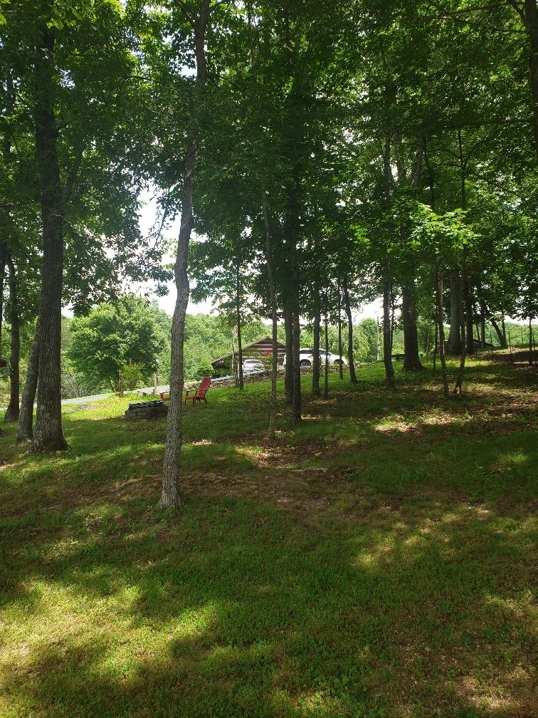 940 Herman Smith Road Pikeville, TN 37367 - Photo 22 of 41 20200608_122503_resized