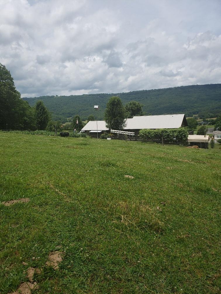 940 Herman Smith Road Pikeville, TN 37367 - Photo 28 of 41 20200608_123138_resized