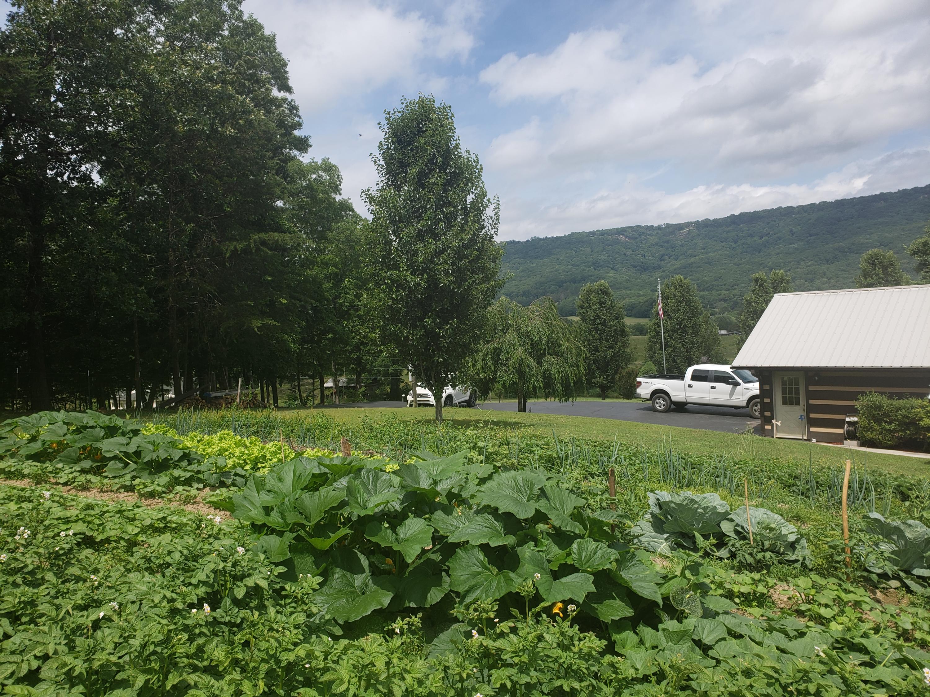 940 Herman Smith Road Pikeville, TN 37367 - Photo 8 of 41 20200608_110902