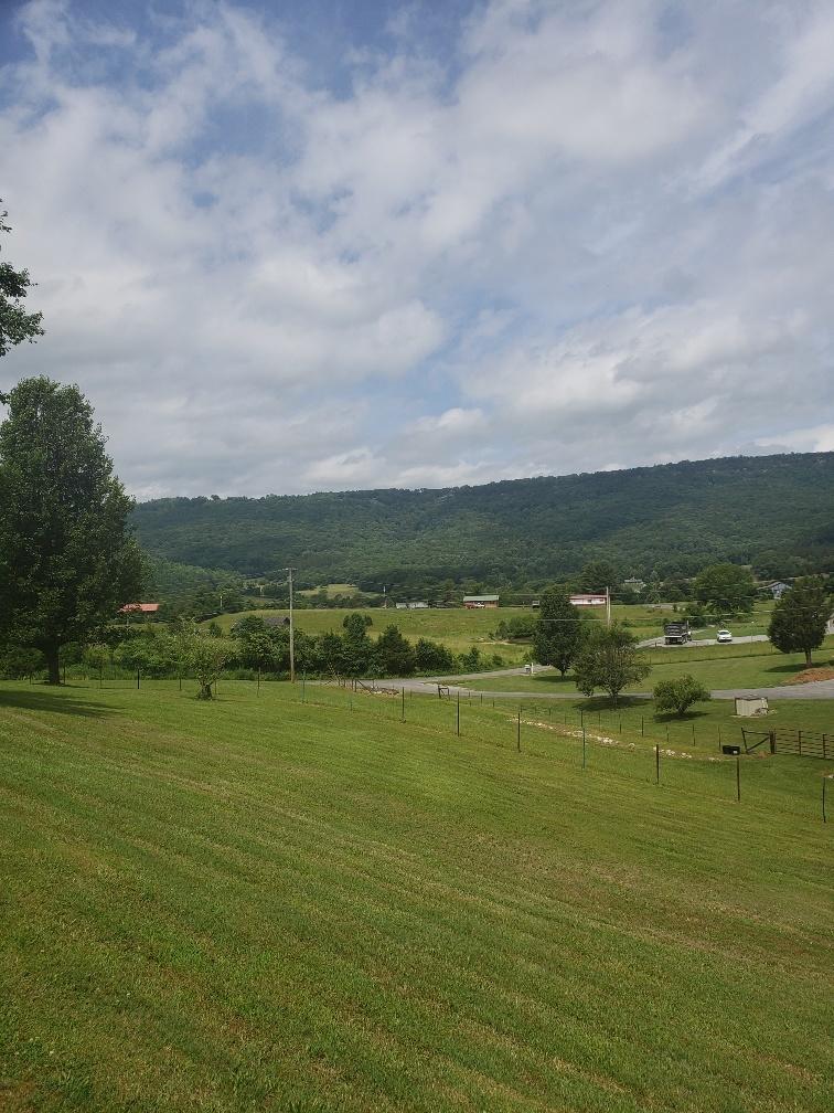 940 Herman Smith Road Pikeville, TN 37367 - Photo 10 of 41 20200608_111108_resized