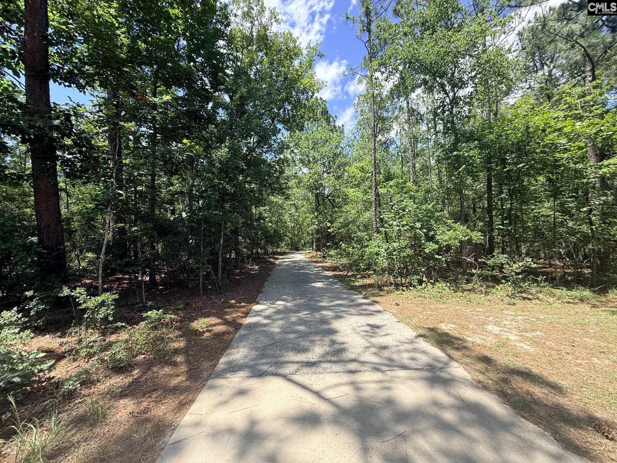 612 Edisto Lake Road Wagener, SC 29164 - Photo 6 of 48