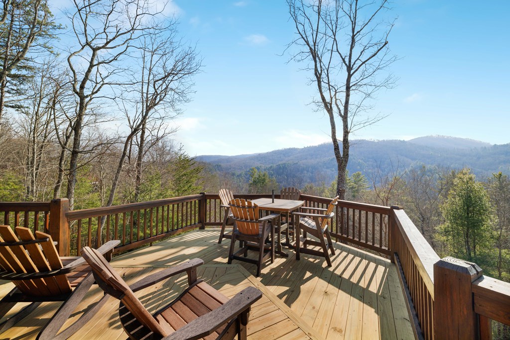 101 Falling Rock Road Blue Ridge, GA 30513 - Photo 45 of 64 Photo provided by seller