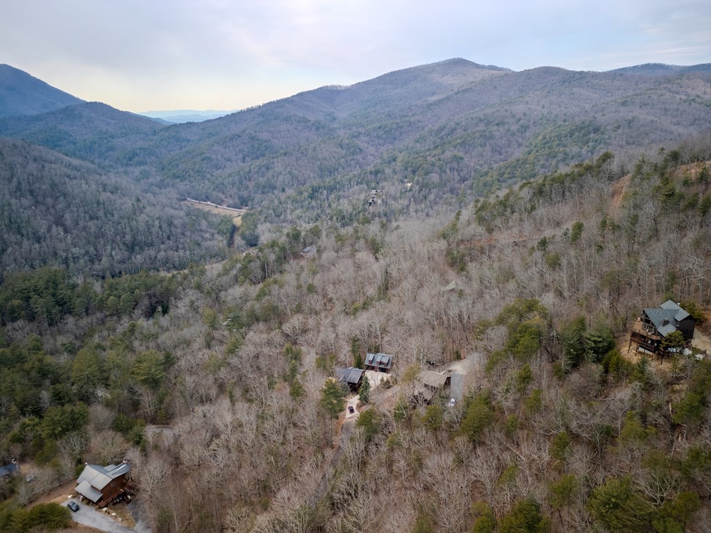 101 Falling Rock Road Blue Ridge, GA 30513 - Photo 53 of 64