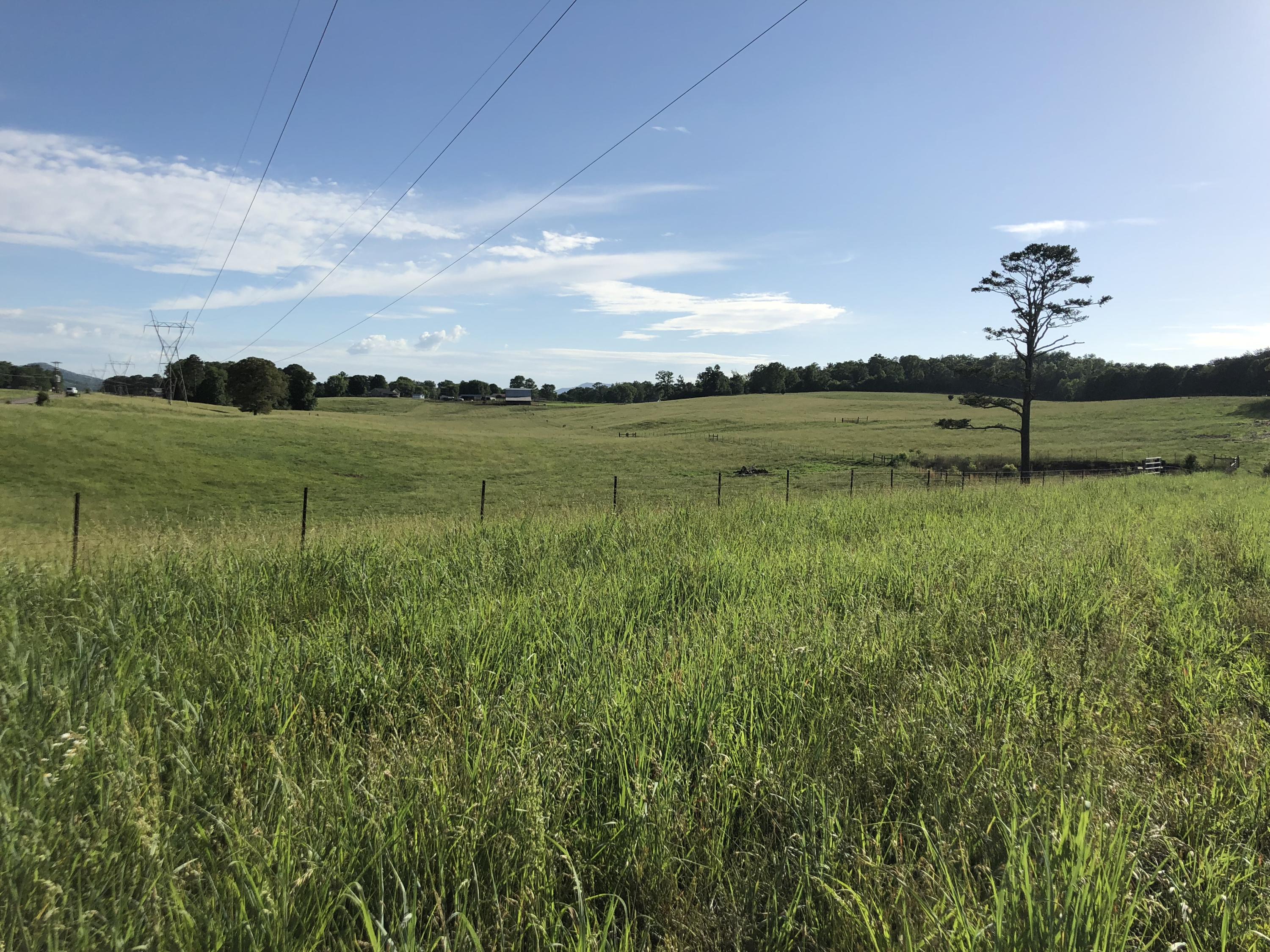817 Fairview Road Tellico Plains, TN 37385 - Photo 22 of 59 IMG_5008