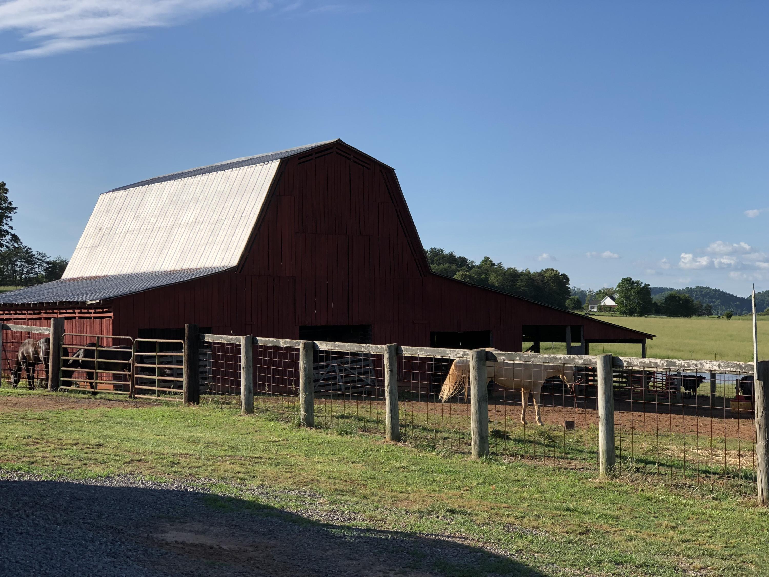 817 Fairview Road Tellico Plains, TN 37385 - Photo 23 of 59 IMG_5009