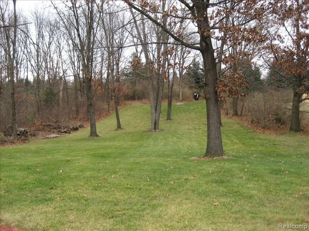 10825 Marshall Road South Lyon, MI 48178 - Photo 23 of 24 View of Backyard