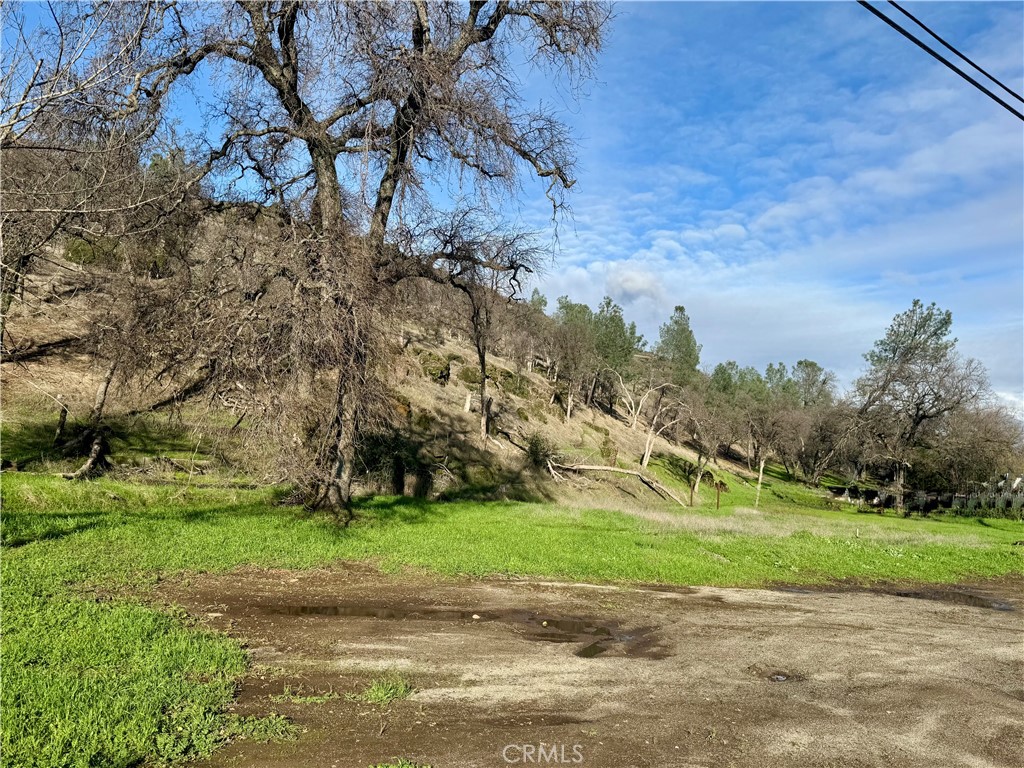 1045 Honey Run Road Chico, CA 95928 - Photo 11 of 19 a view of a field with trees