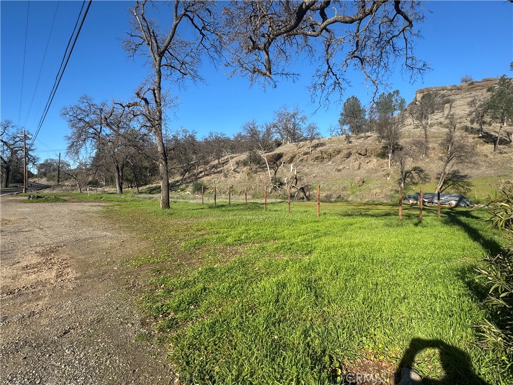 1045 Honey Run Road Chico, CA 95928 - Photo 15 of 19 a view of a field with an trees