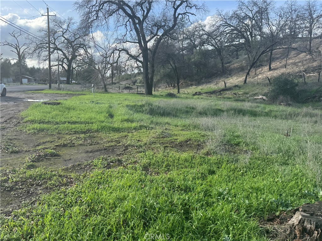 1045 Honey Run Road Chico, CA 95928 - Photo 6 of 19 a big yard with lots of green space and deers