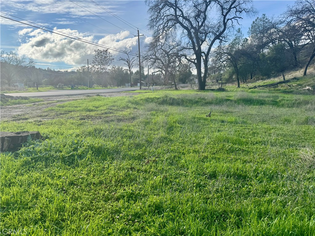 1045 Honey Run Road Chico, CA 95928 - Photo 7 of 19 a view of a field with a tree