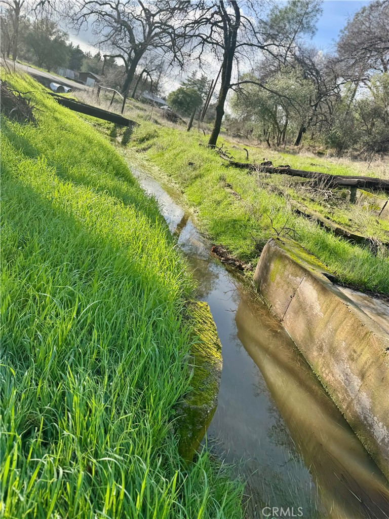 1045 Honey Run Road Chico, CA 95928 - Photo 9 of 19 a view of a yard with a tree