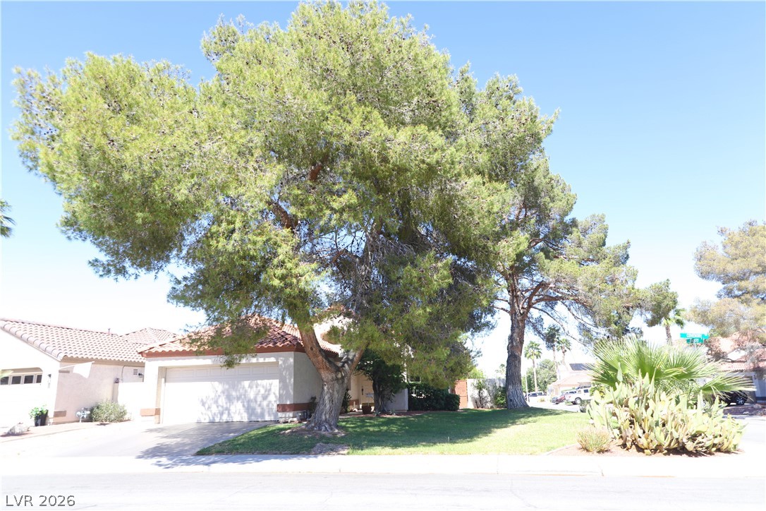 133 Coventry Circle Henderson, NV 89074 - Photo 15 of 99 Expansive corner lot with mature landscaping