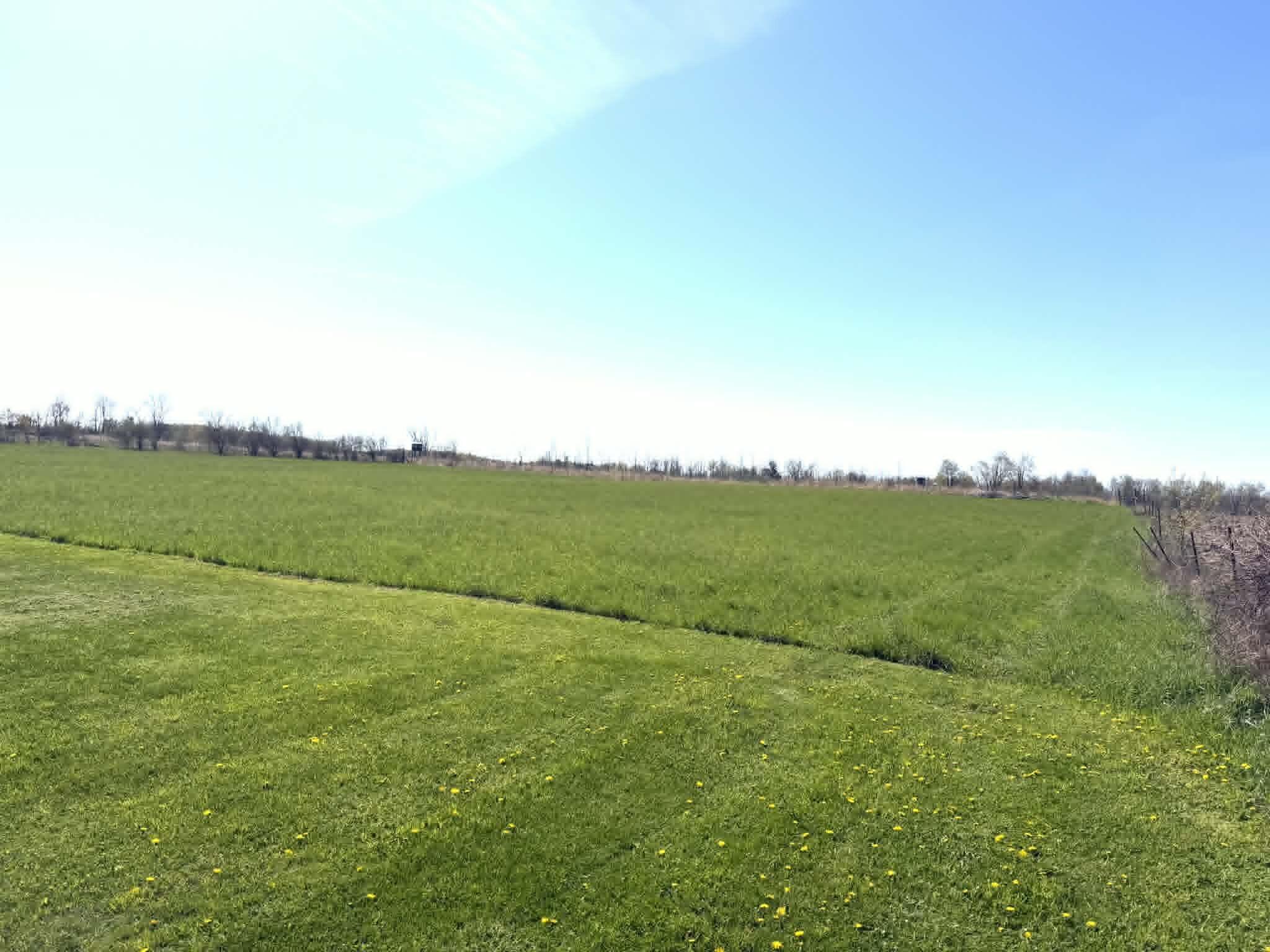 8377 Truman Road Evart, MI 49631 - Photo 18 of 95 cf6f31cf-e095-4c02-bc65-62f2976565fa
