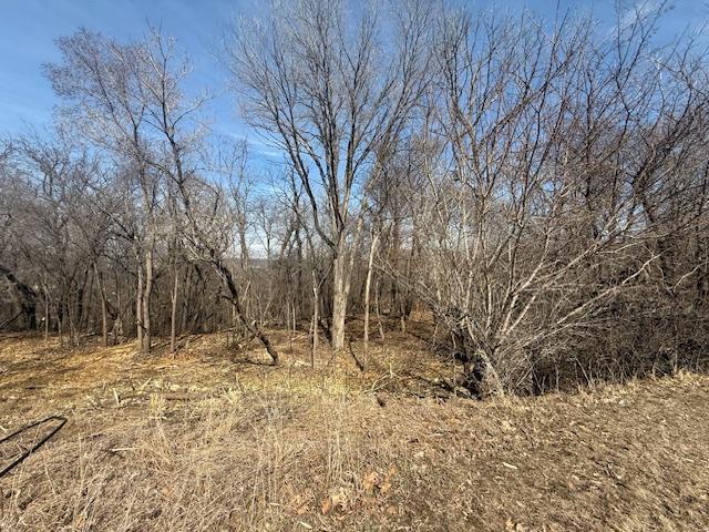 328 Limestone Road Cannon Falls, MN 55009 - Photo 8 of 11