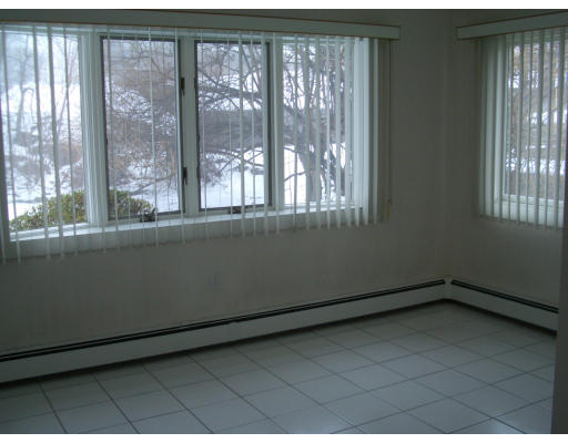 45 Dorothy Road Newton, MA 02459 - Photo 6 of 14