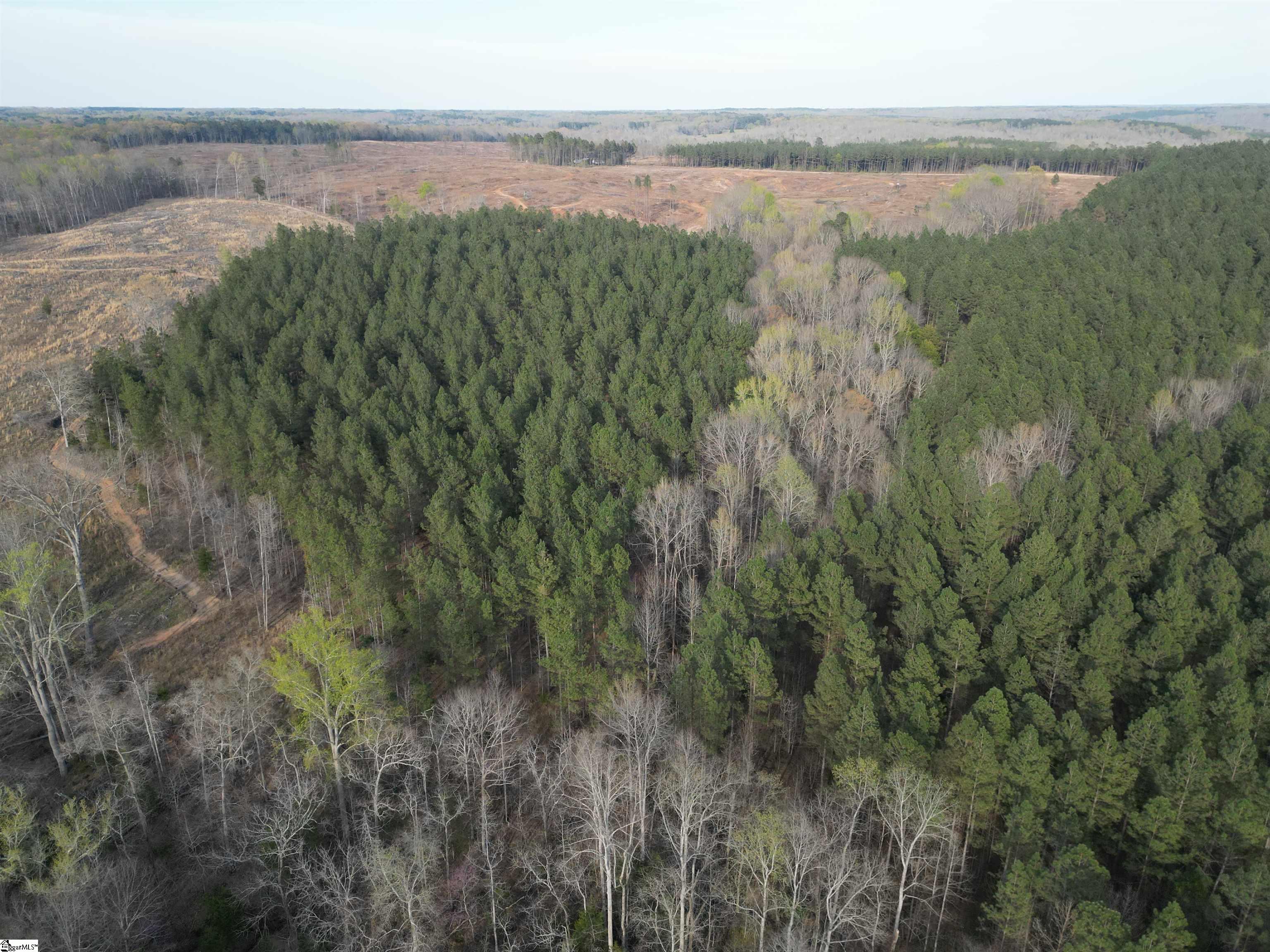 0 Cedar Valley Road Laurens, SC 29360 - Photo 11 of 17 Gallery Image 11