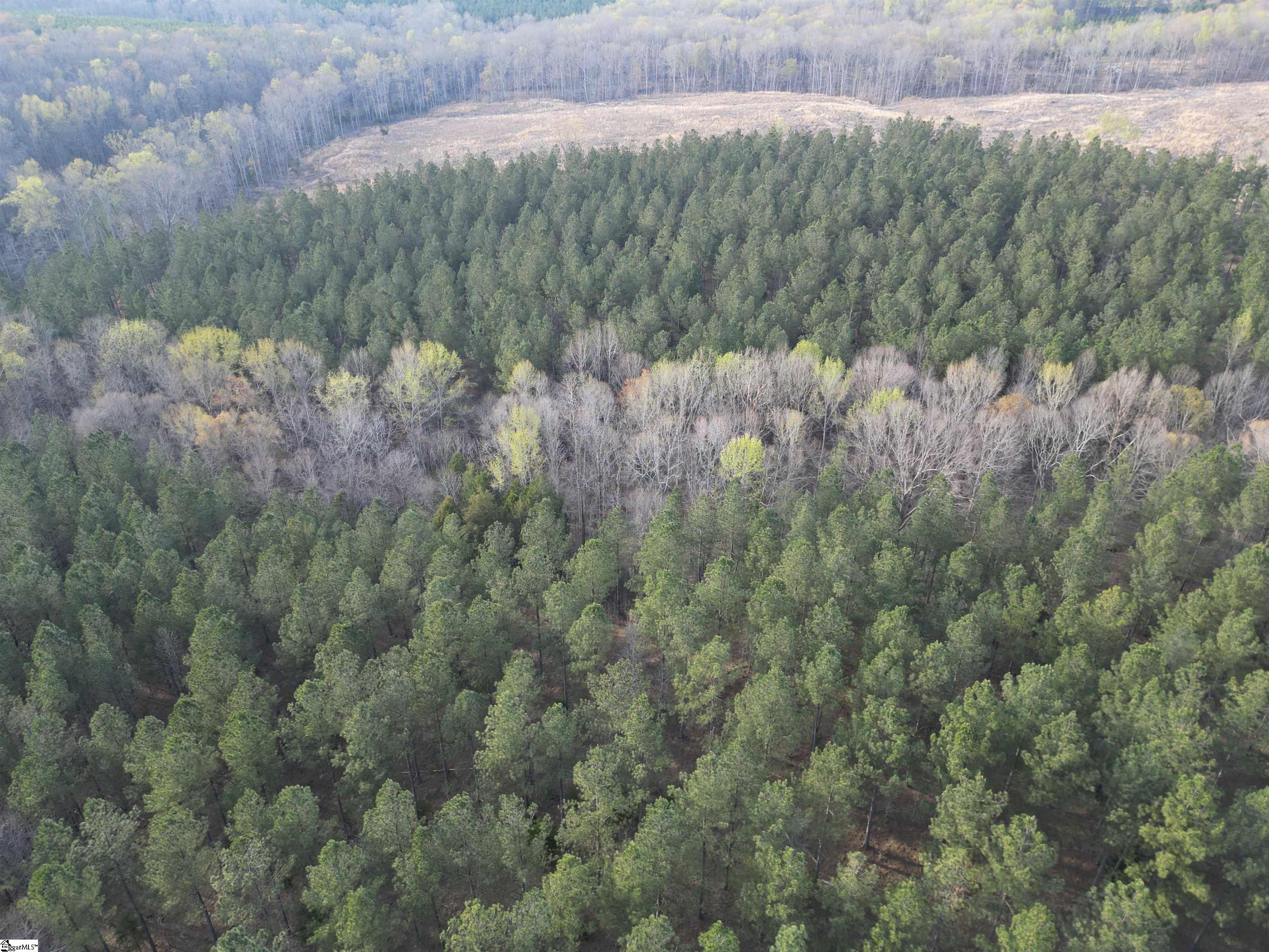 0 Cedar Valley Road Laurens, SC 29360 - Photo 14 of 17 Gallery Image 14