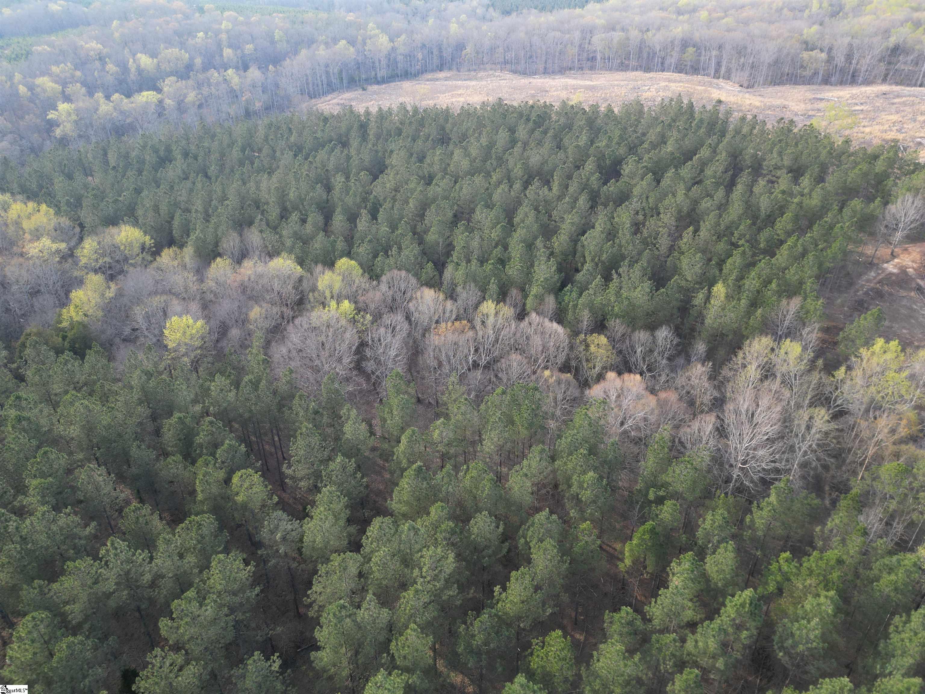 0 Cedar Valley Road Laurens, SC 29360 - Photo 15 of 17 Gallery Image 15
