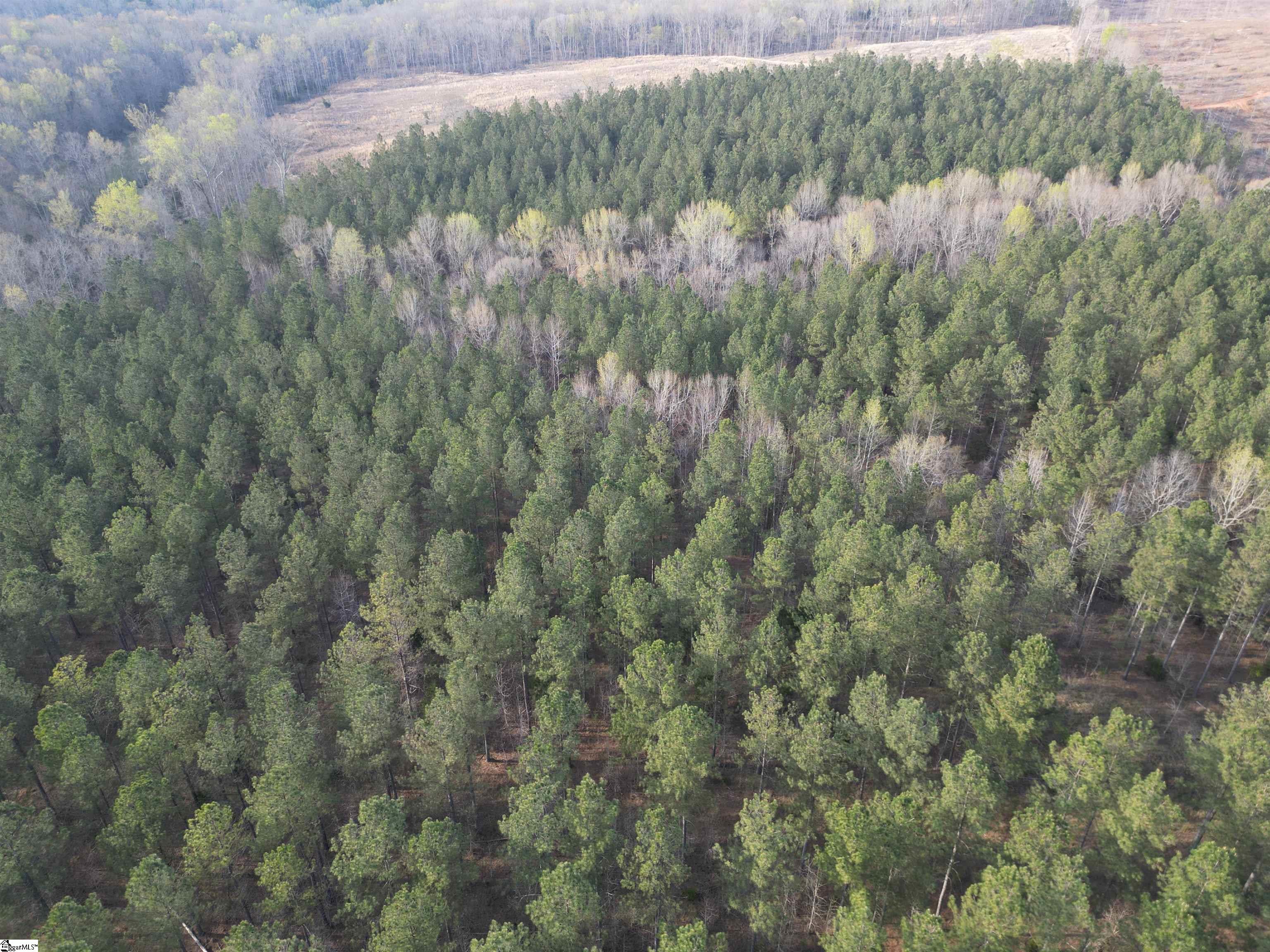 0 Cedar Valley Road Laurens, SC 29360 - Photo 3 of 17 Gallery Image 3