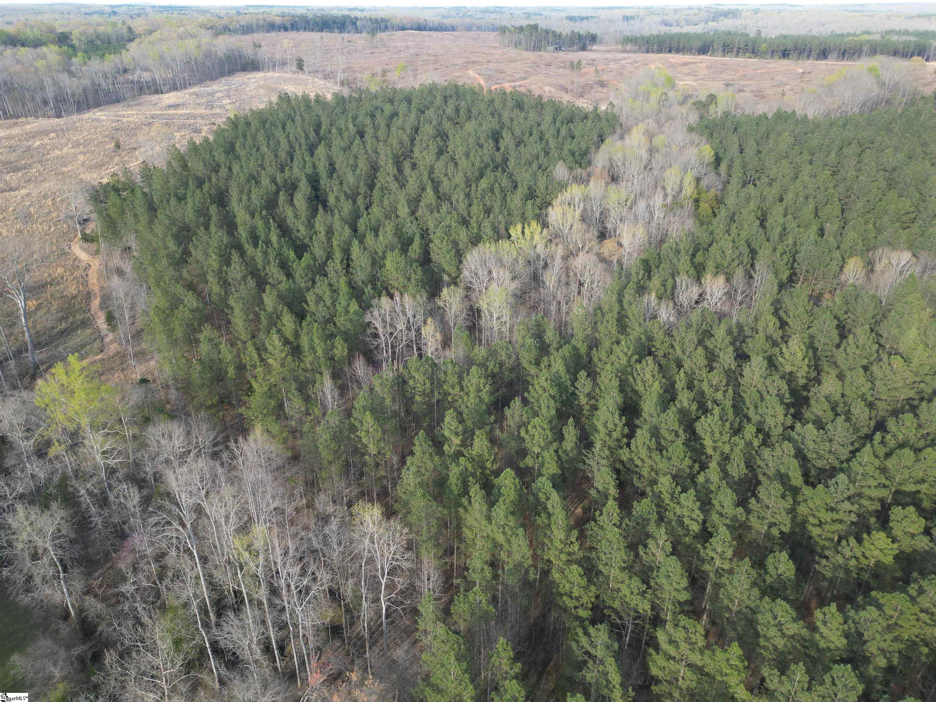 0 Cedar Valley Road Laurens, SC 29360 - Photo 10 of 17 Gallery Image 10
