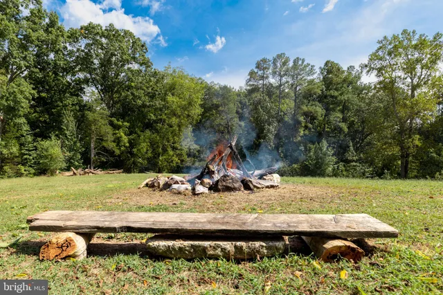 a view of a house with a yard and large tree
