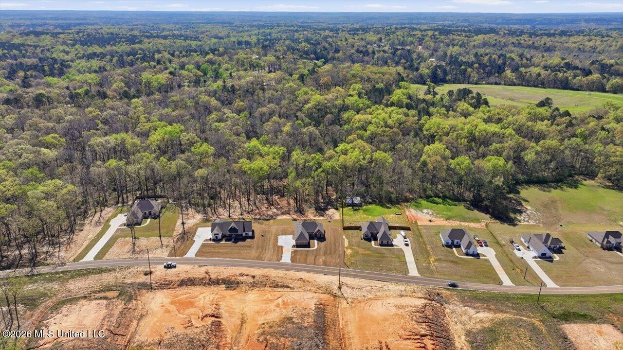 939 Mullican Road Florence, MS 39073 - Photo 51 of 66 51-939 Mullican Rd _ Home Tours MS