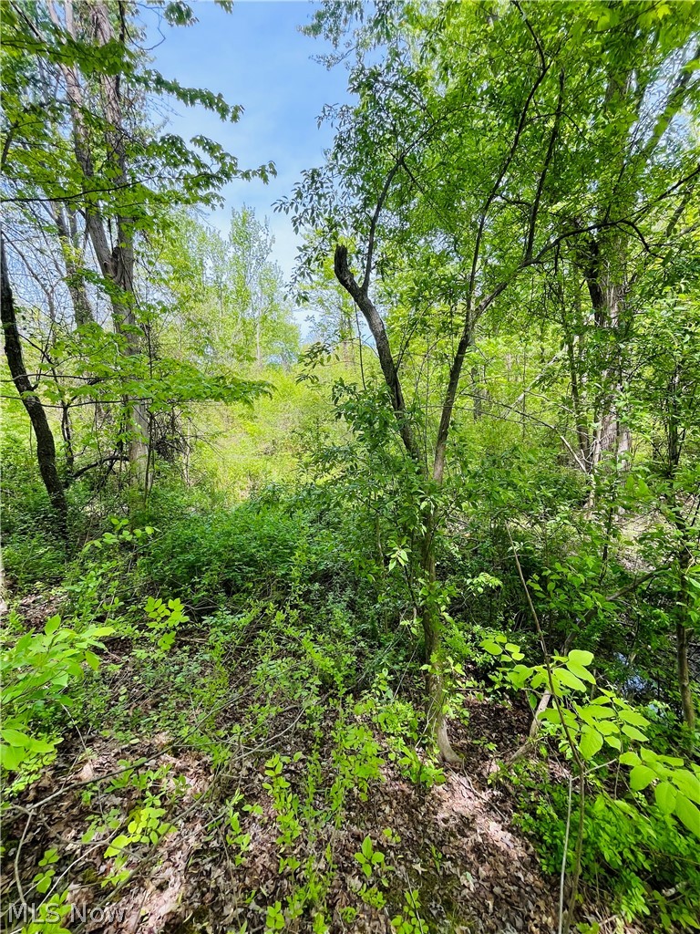 Bates Road Madison, OH 44057 - Photo 4 of 14