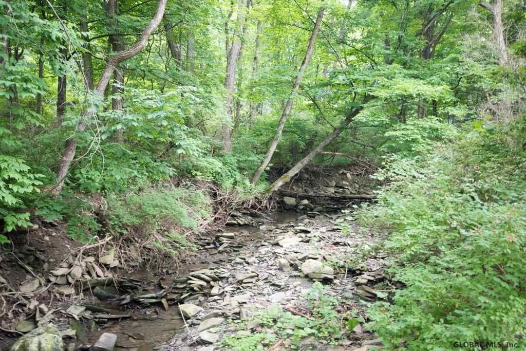 224 Bozenkill Road Altamont, NY 12009 - Photo 22 of 22 Photo 22