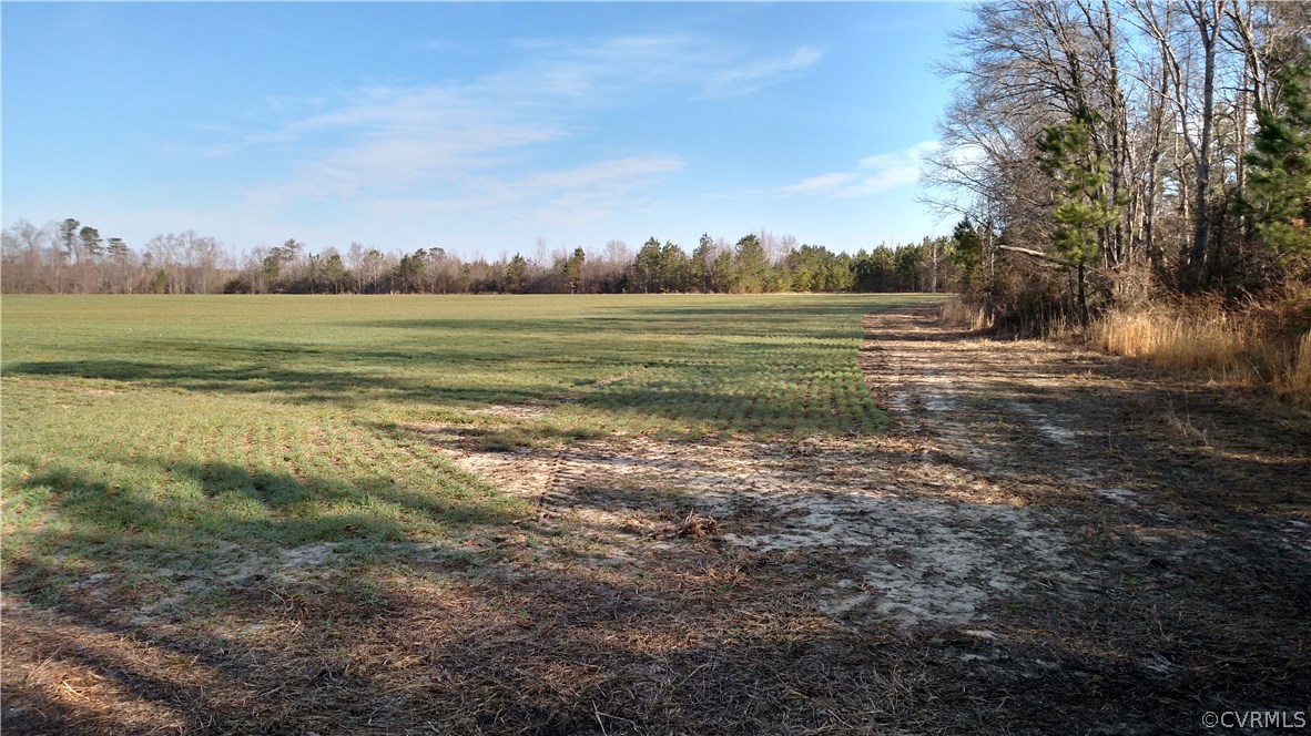 9600 County Line Road Disputanta, VA 23842 - Photo 1 of 3 Gallery Image 1