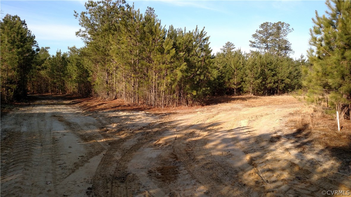 9600 County Line Road Disputanta, VA 23842 - Photo 3 of 3 Gallery Image 3