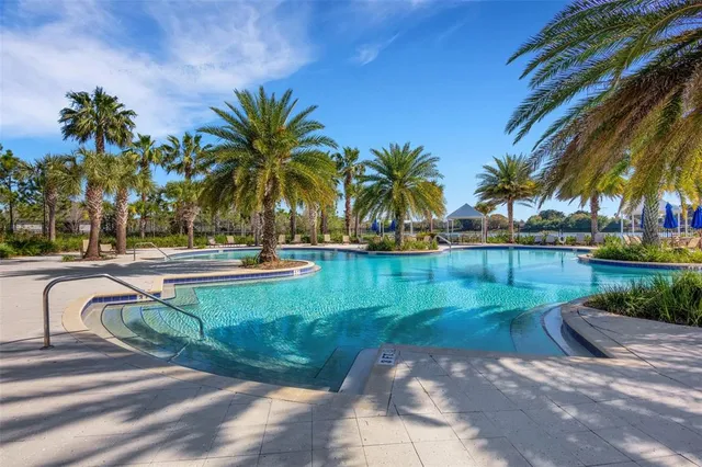 a view of a swimming pool with a yard and palm trees