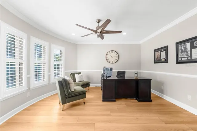 a view of a garden with plants and large trees