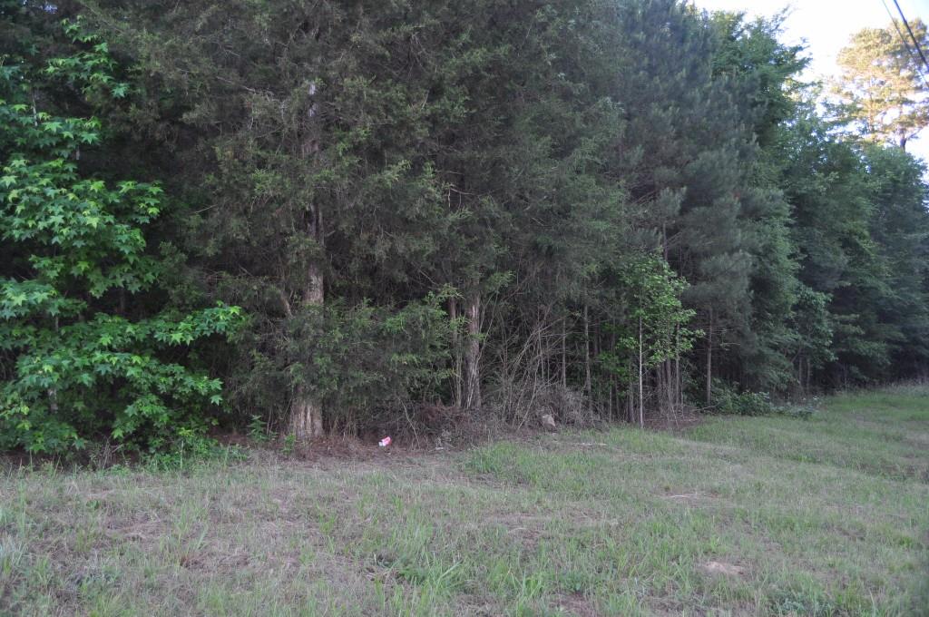 Lot 8 Buttermilk Road Cave Spring, GA 30124 - Photo 1 of 1 Gallery Image 1