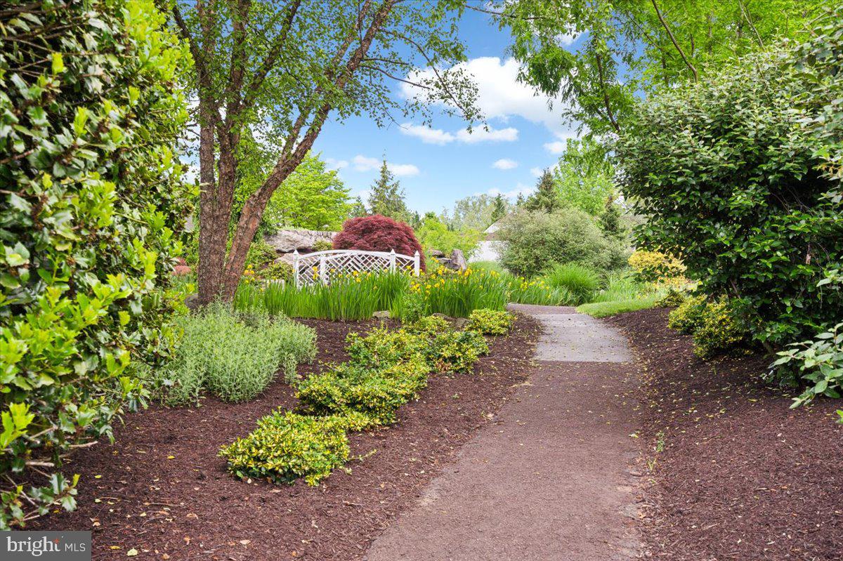 2442 Rippling Brook Road Frederick, MD 21701 - Photo 82 of 85 a view of a garden with a tree