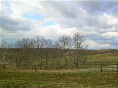 2750 High Bridge Road Wilmore, KY 40390 - Photo 3 of 7 Photo 3