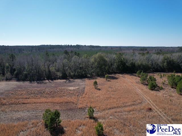 Tbd Paper Mill Road Florence, SC 29505 - Photo 11 of 28 Gallery Image 11
